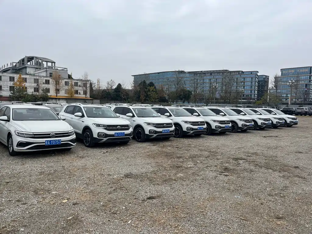 Tanying 2023 200TSI DSG Yuezhilian Edition