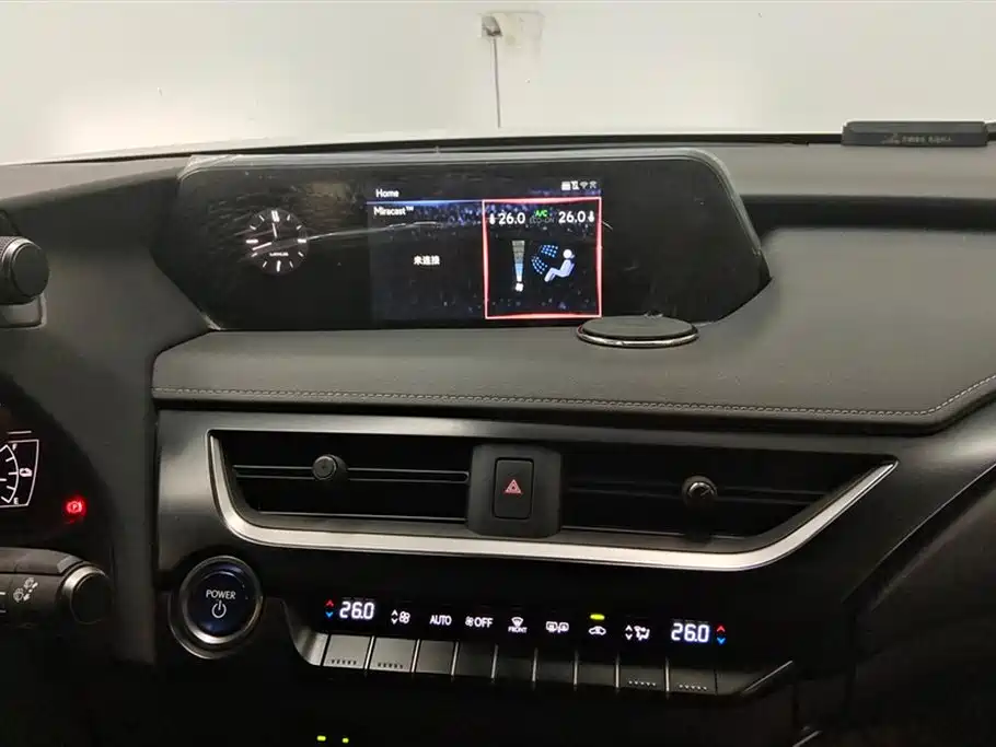 Lexus UX New Energy 2020 Model 300e Pure*Yue Edition