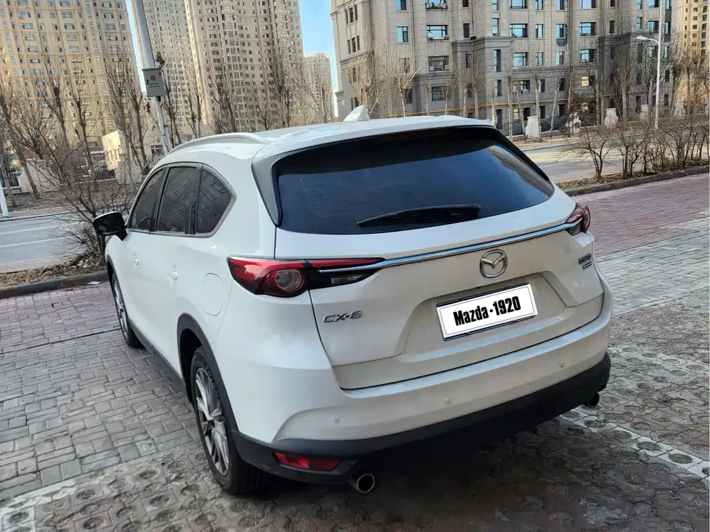 Mazda CX-8 2019 2.5L two-wheel drive premium model