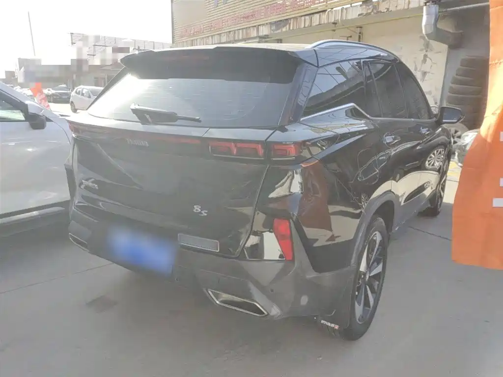 Seahorse 8S 2019 model 1.6 TGDI automatic Smart Version