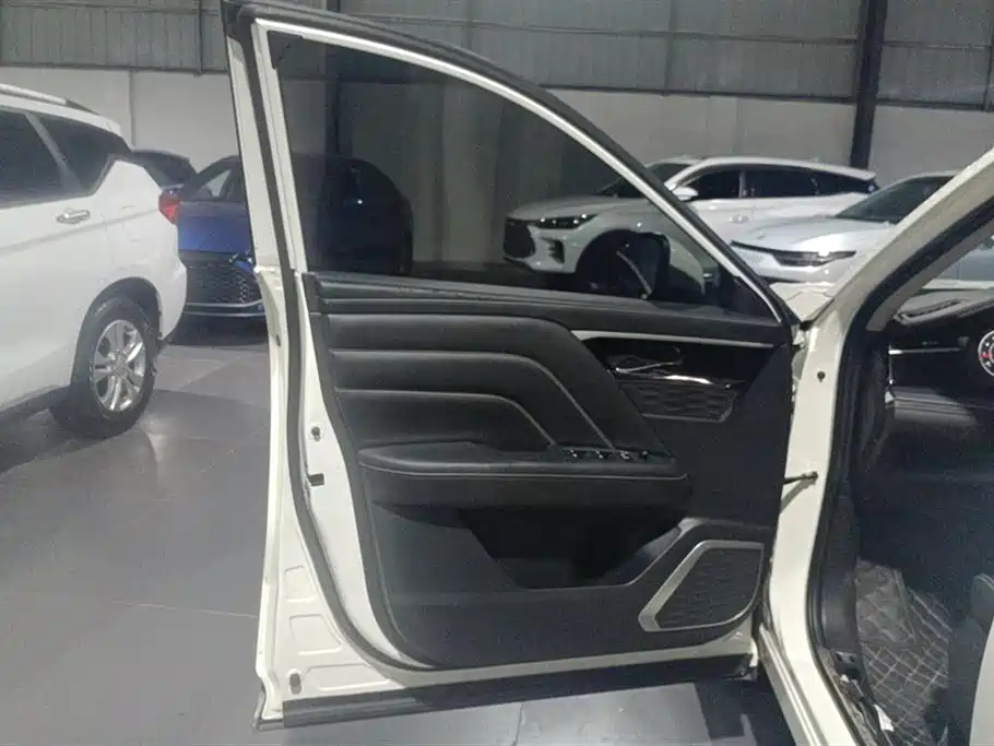 Qichenxing 2021 260T automatic 48V Light Hybrid Supercharged Star Enjoy Event Version