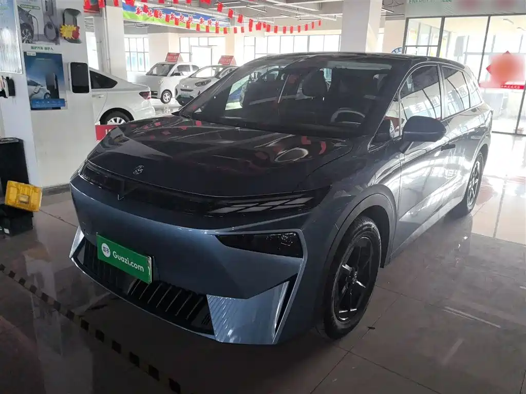 Qichen VX6 2024 Model 520 Executive Edition