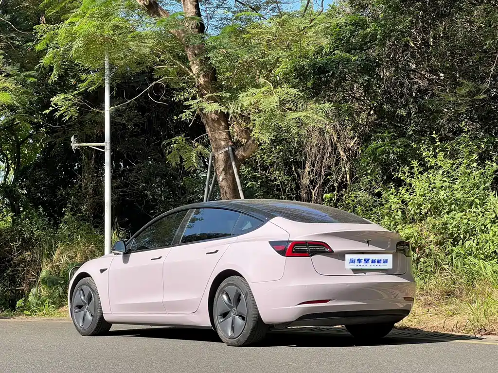 Model 3 imported 2019 long battery life rear drive version