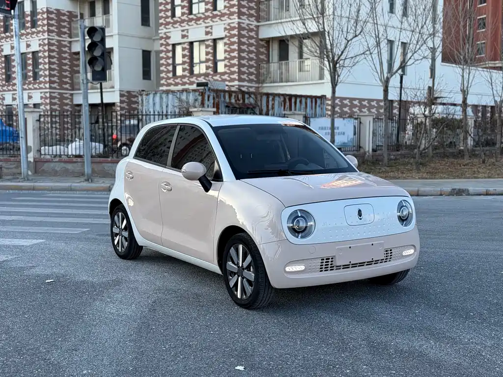 Euler Black Cat 2021 Model 351km Standard Type