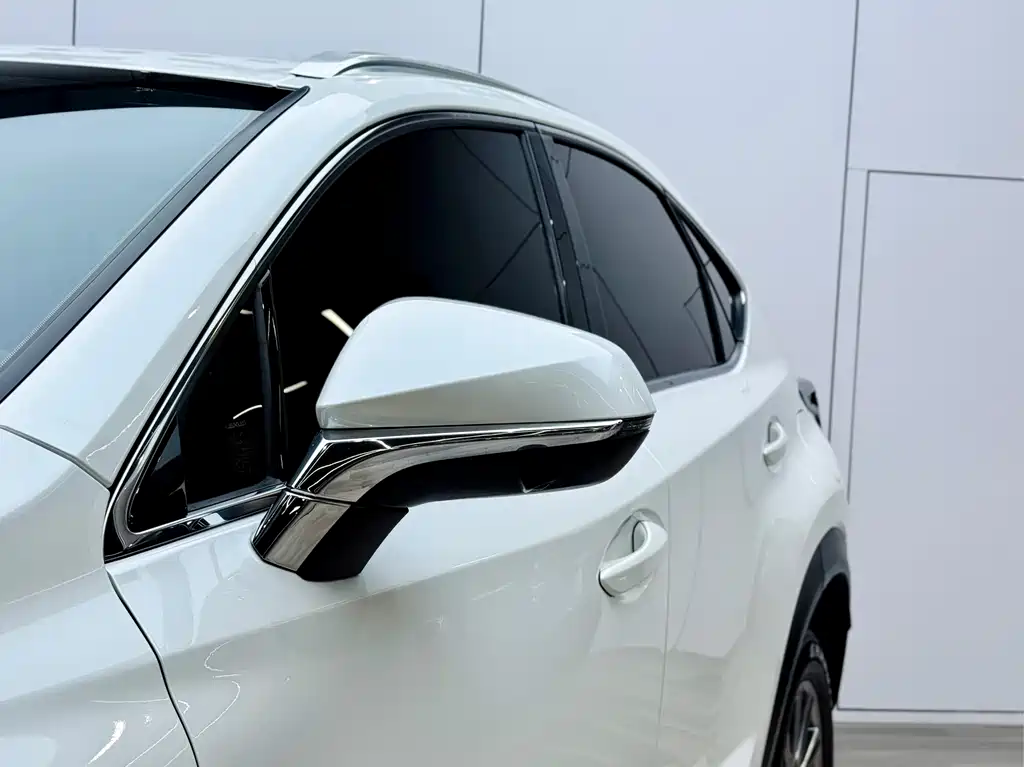 Lexus NX 2020 300h front drive Fengshang version Country VI