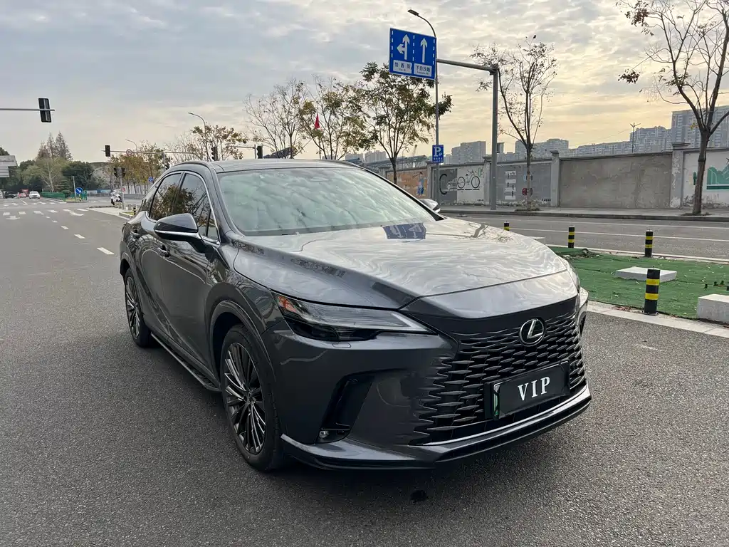 Lexus RX New Energy 2023 450h+ Four-wheel drive Enjoy Edition