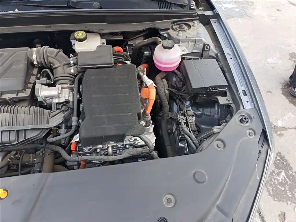 Qin PLUS 2024 Glory Version DM-i 55KM Leading Type