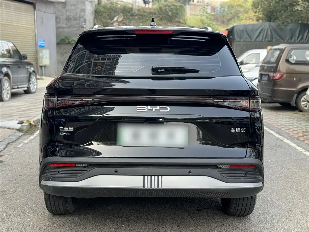 Sea Lion 05 DM-i 2025 DM-i 75KM Luxury type