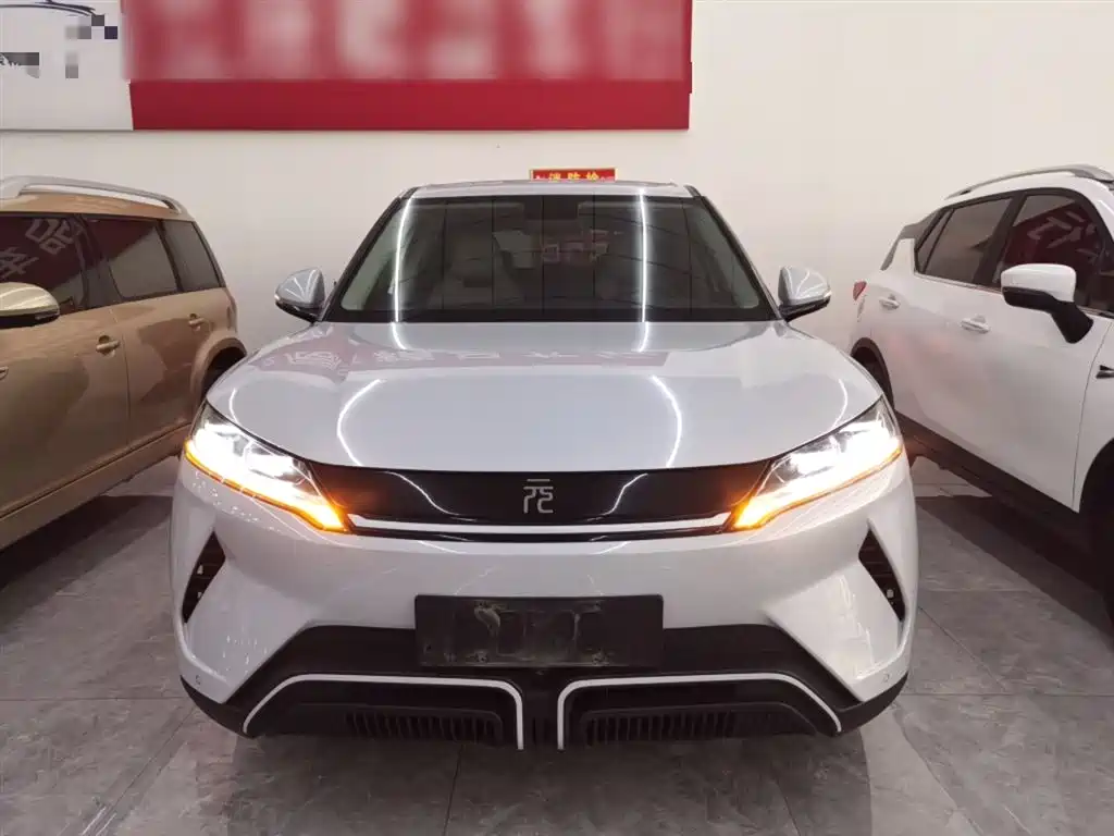 Yuan UP 2024 401KM Vitality Edition