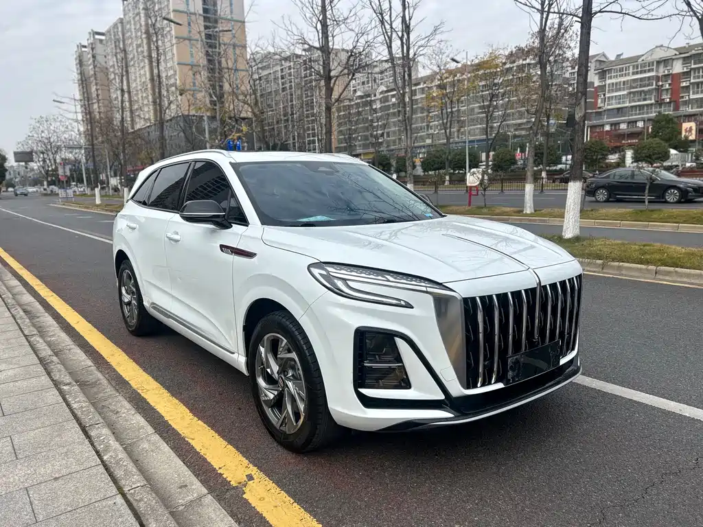 Hongqi HS3 2023 2.0T two-wheel drive can be used as a version