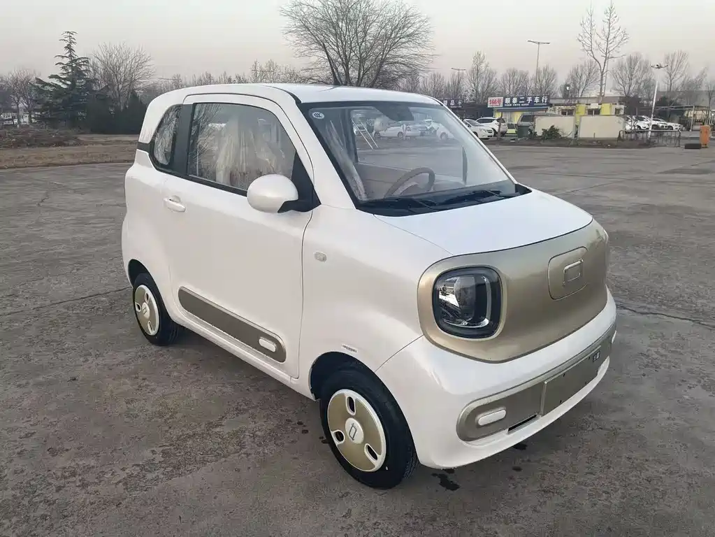 Pentium Pony 2026 222km Colorful Horse