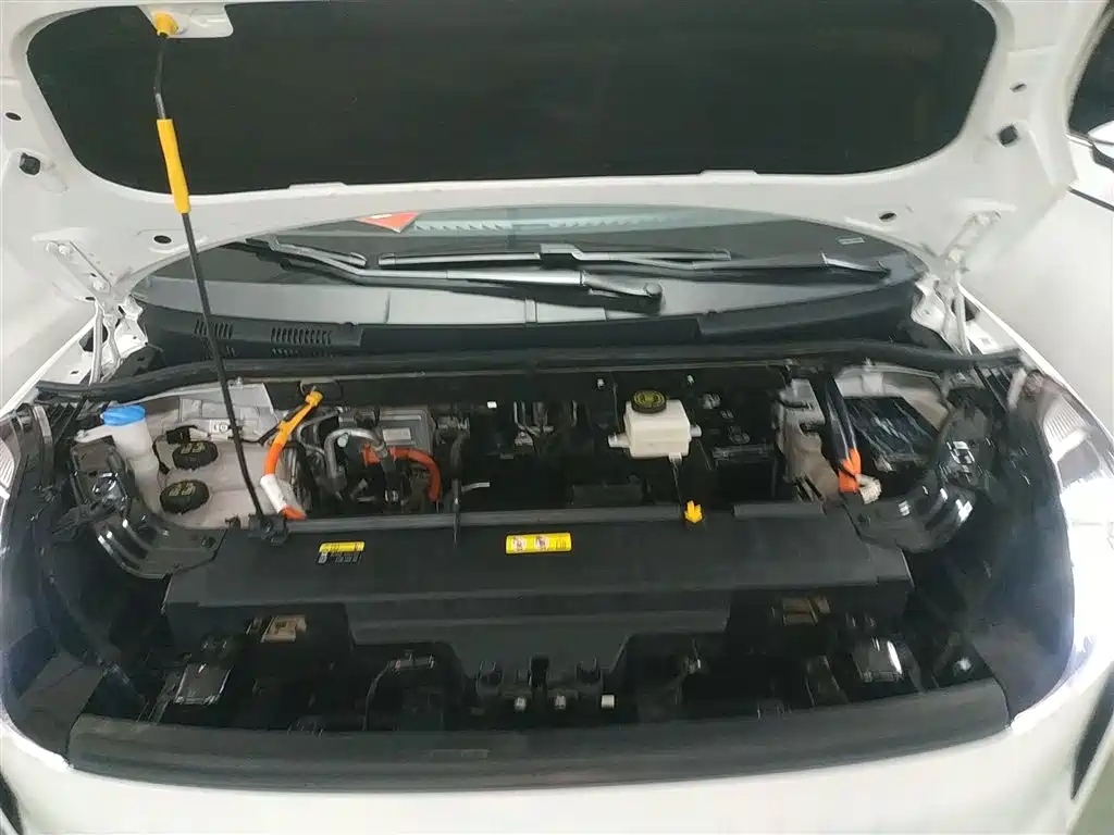 Pentium NAT 2023 PRO Comfort Travel Edition 419km