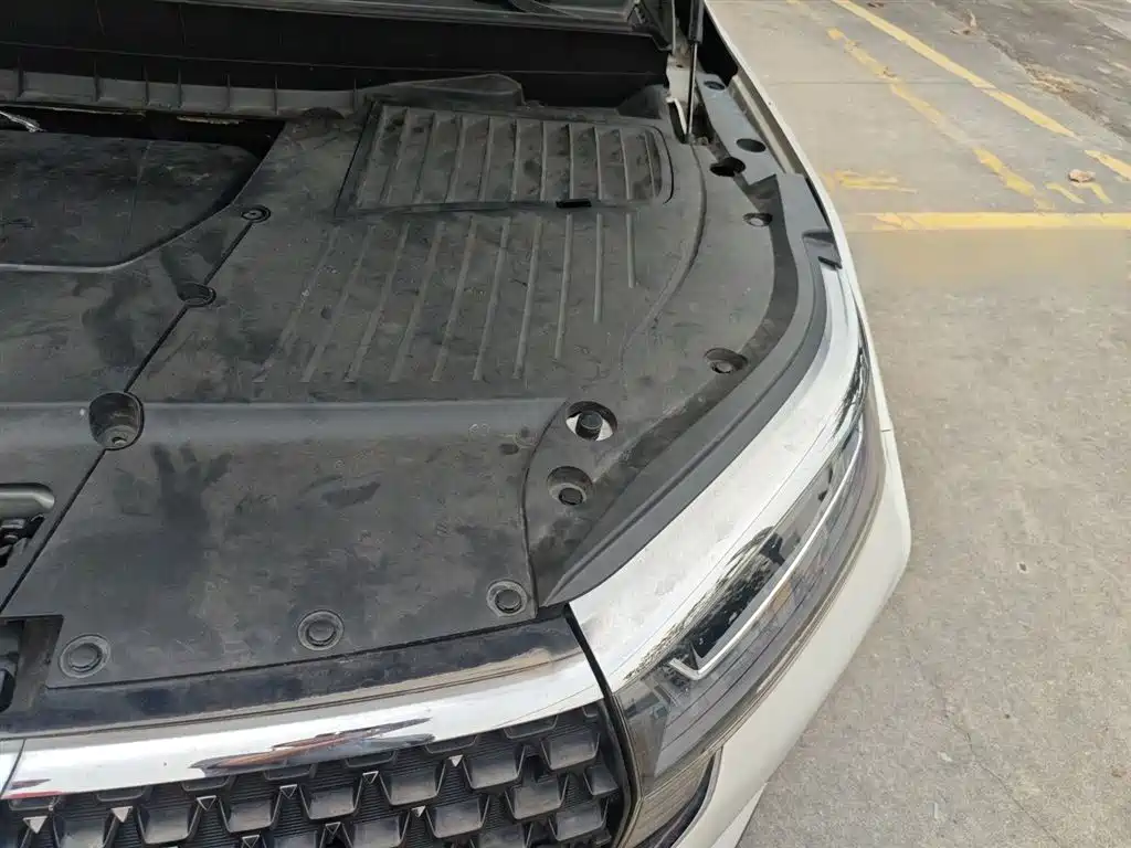 Qichenxing 2020 260T automatic 48V light Hybrid supercharged Star Version