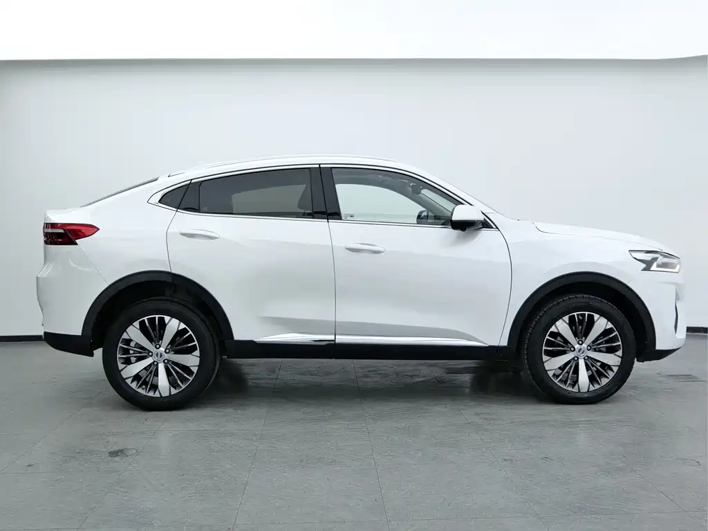 Haval F7x 2019 1.5T two-wheel drive extremely smart tide play version