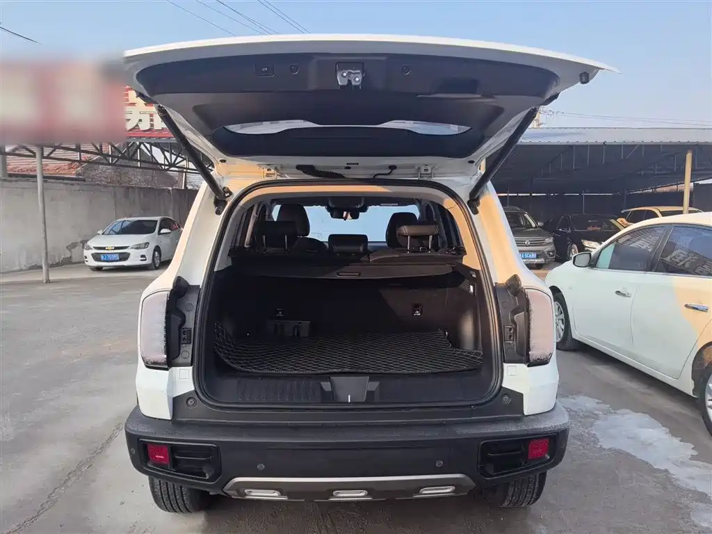 Haval Big Dog 2021 1.5T DCT Two-wheel drive Side Shepherd Version