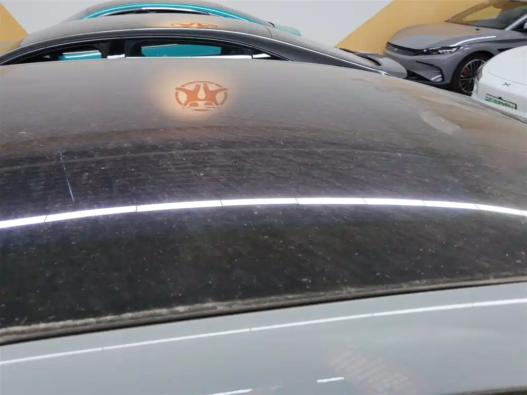 Zero run C01 2024 Pure electric 525 Exclusive Edition