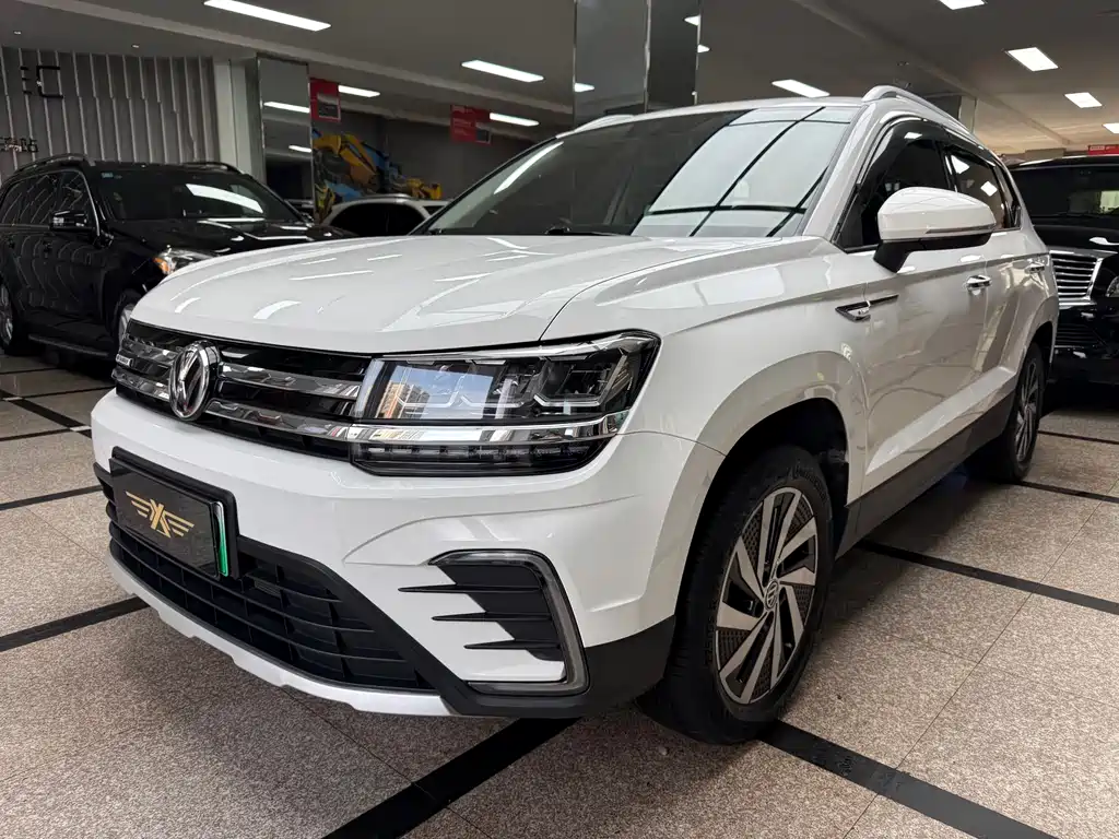 Панорамное премиальное издание Tuyue New Energy 2021