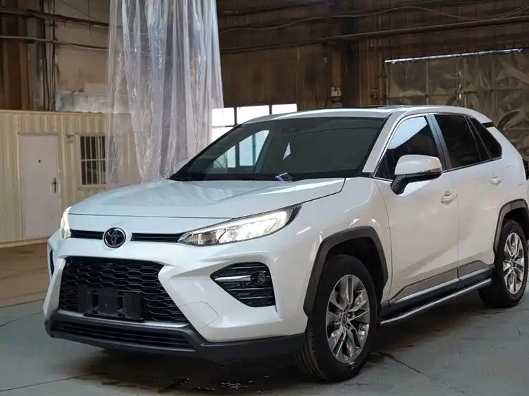 Weilanda 2022 2,0-литровый вариаторный двухколесный автомобиль Luxury PLUS edition