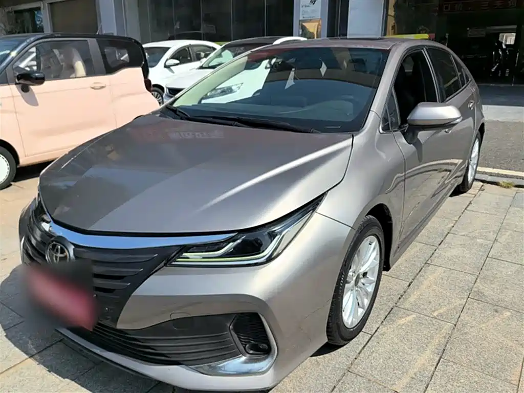 Asiatic Lion 2021 2.0L Deluxe