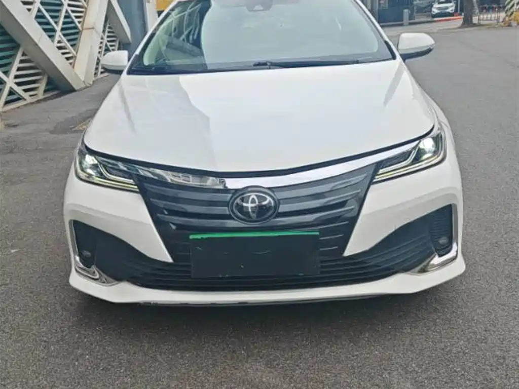 Asiatic Lion 2021 2.0L Deluxe
