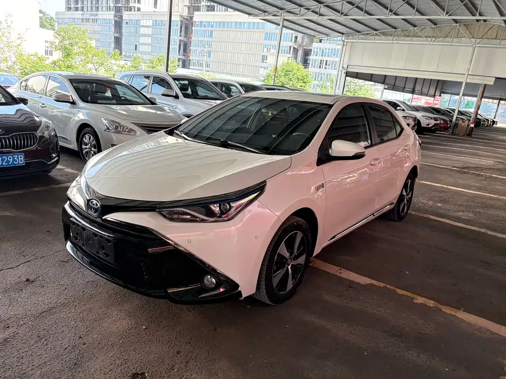 Ralink с двумя двигателями E+2019 1.8PH GS E-CVT Elite с люком на крыше