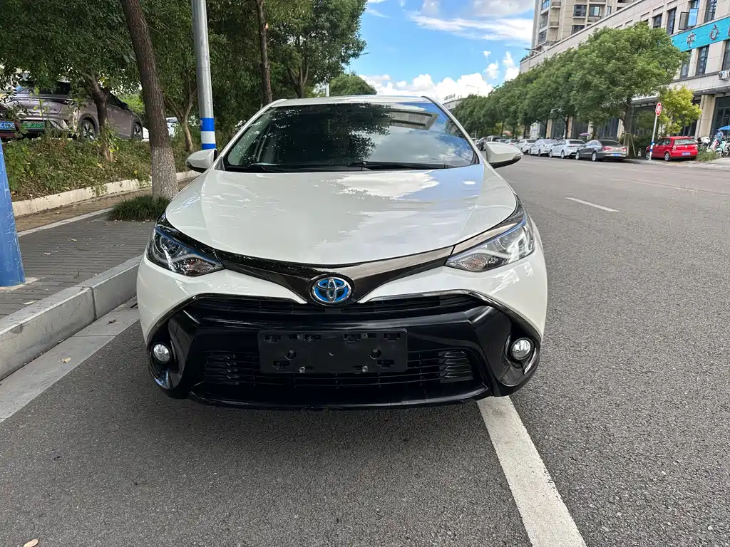Ralink с двумя двигателями E+2019 1.8PH GS E-CVT Elite с люком на крыше