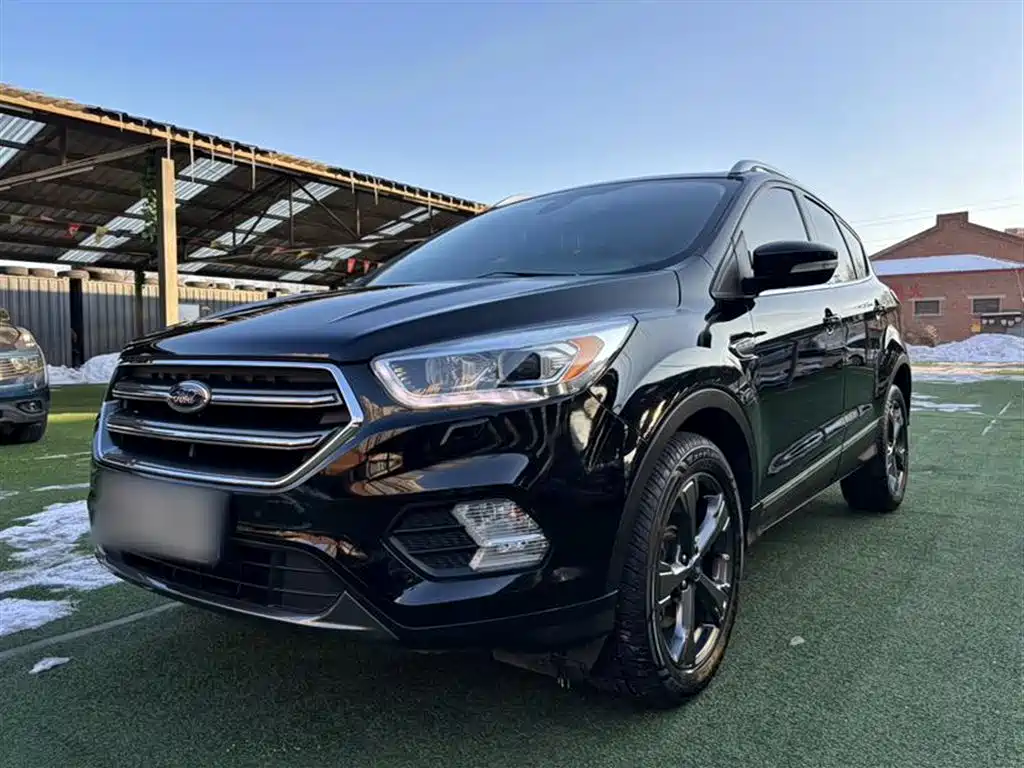 Wing Tiger 2019 EcoBoost 245 four-wheel drive Hao Wing type Country VI