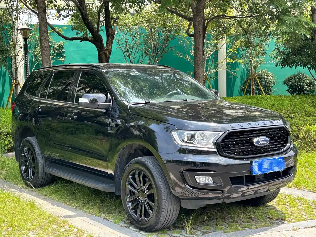 Roadshaker 2020 Спортивная версия 2,3-тонного бензинового автомобиля с автоматическим полным приводом Ultimate 7-местный