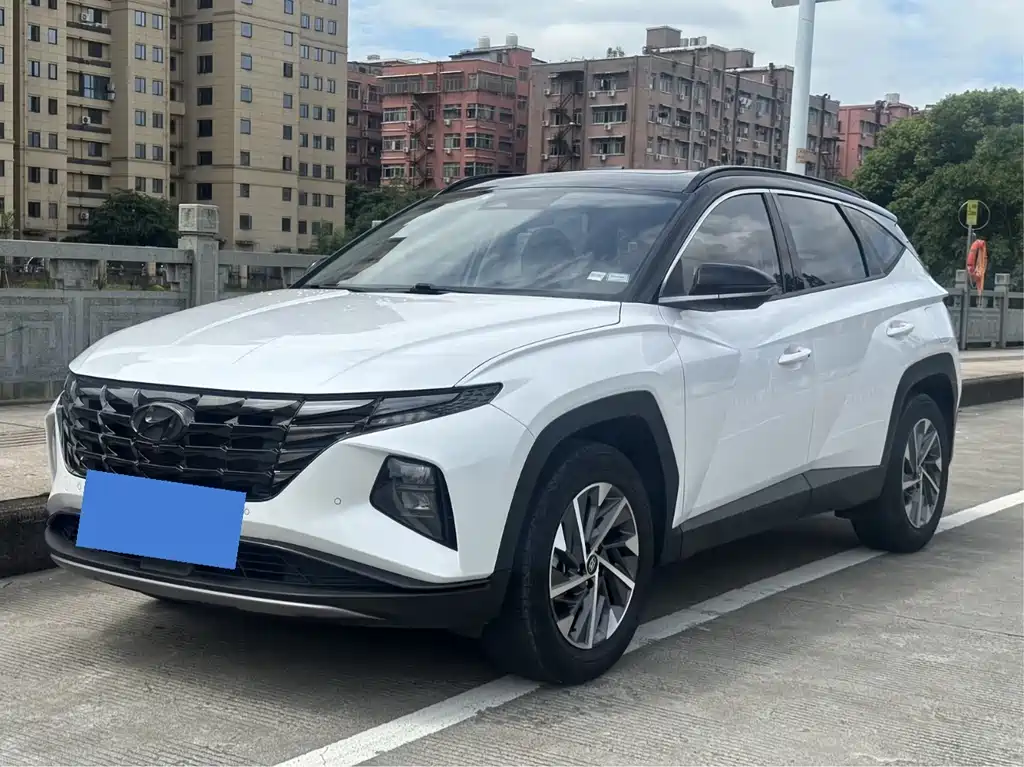 Tucson 2021 Tucson L 1,5T DCT LUX Премиум-версия