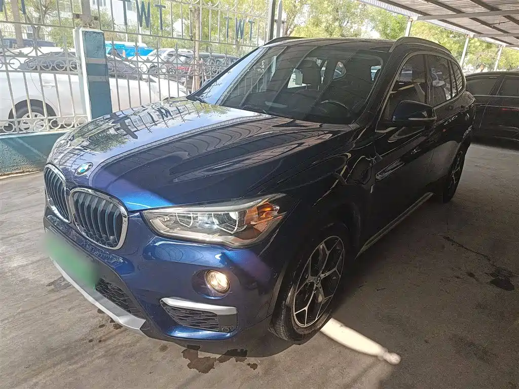 BMW X1 New Energy 2019 xDrive25Le класса люкс