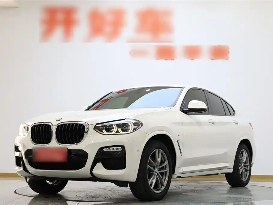 BMW X4 2019 xDrive25i M Sport Package