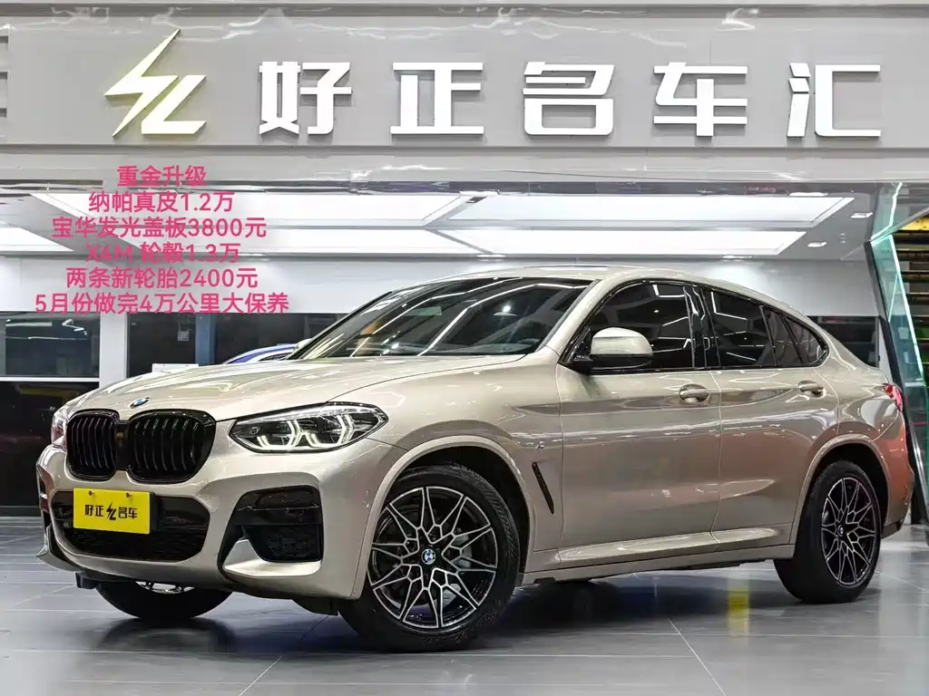 BMW X4 2019 xDrive25i M Sport Package