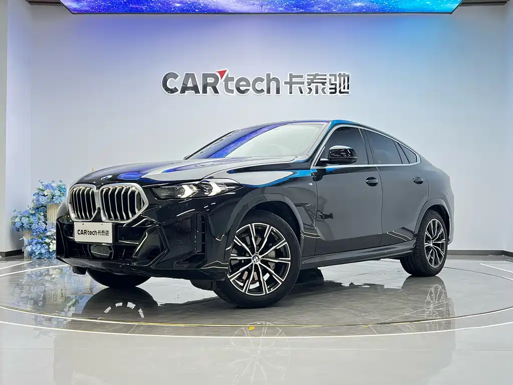BMW X6 2023 xDrive30i M Sport Package