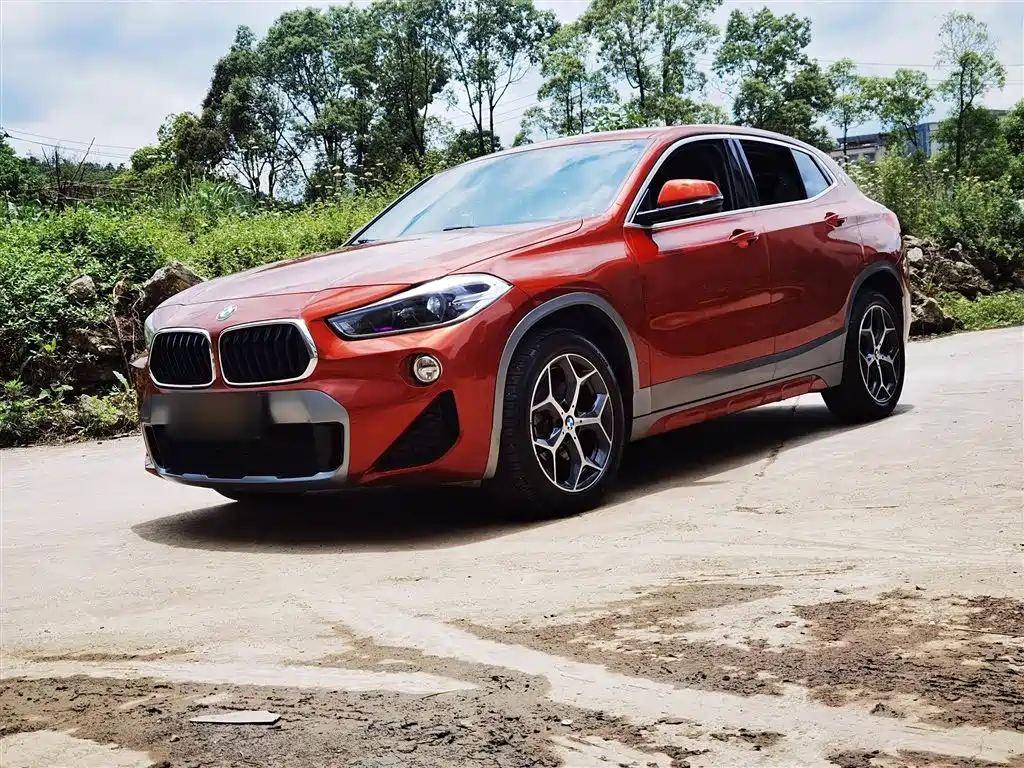 BMW X2 (Import) 2019 sDrive20i M Off-Road Package National VI