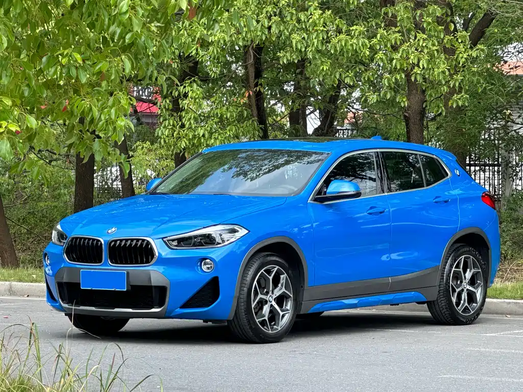 BMW X2 imported 2019 sDrive20i M off-road set country VI