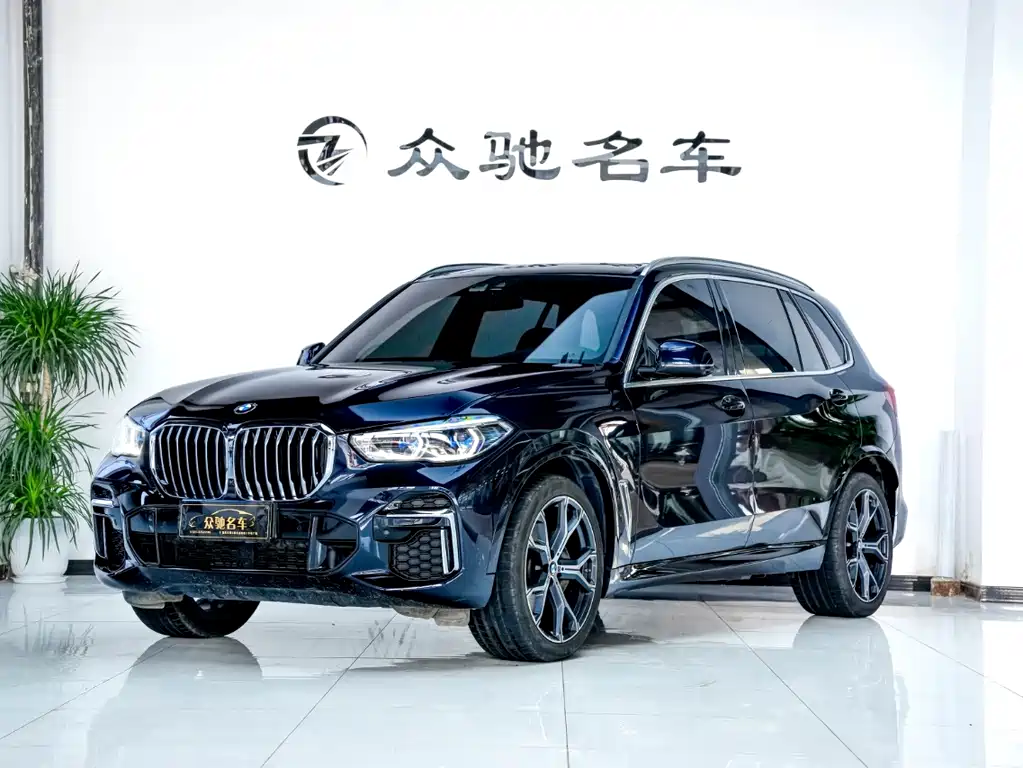 BMW X5 2022 Modified xDrive 40Li M Sport Package
