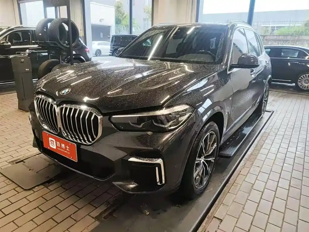 BMW X5 2022 xDrive 30Li M Sport Package