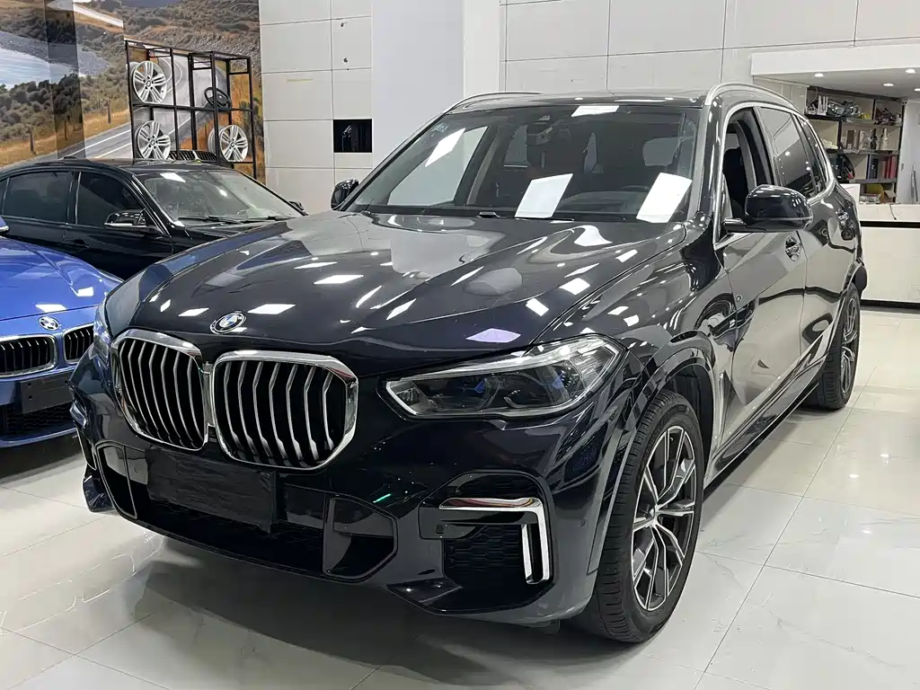 BMW X5 2022 Modified xDrive 30Li Premium M Sport Package