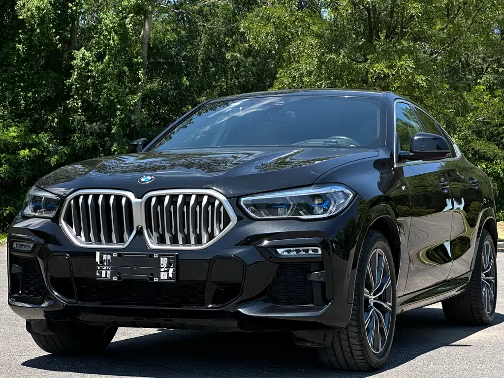 BMW X6 2021 xDrive40i Premium M Sport Package