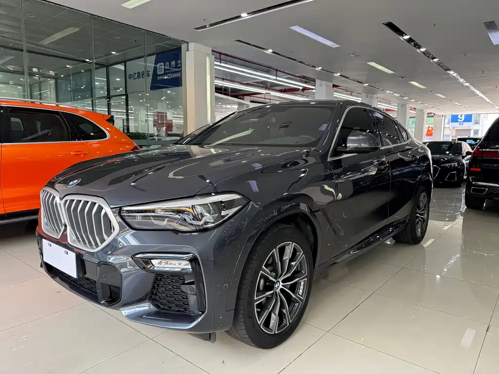 BMW X6 2020 xDrive30i M Sport Package