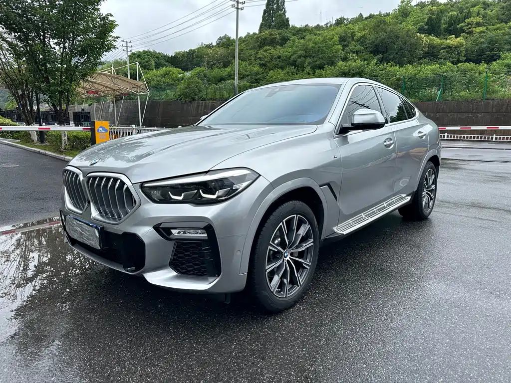 BMW X6 2021 xDrive30i M Sport Package