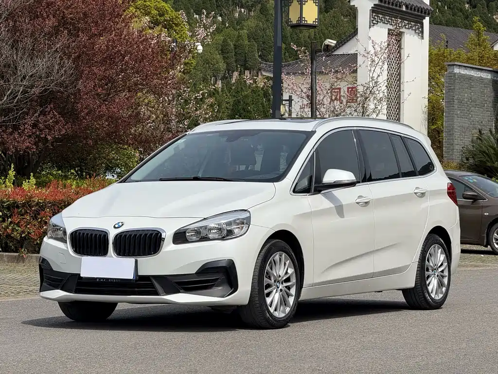 BMW 2 Series Utility Wagon 2019 220i Leader