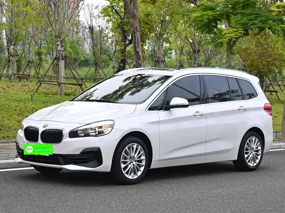 BMW 2 Series Utility Wagon 2019 220i Leader