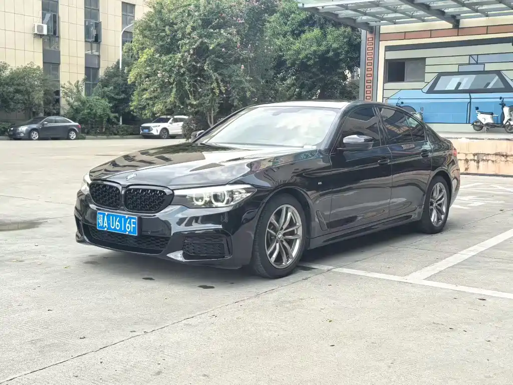 BMW 5 Series (Import) 2019 525i M Sport Package