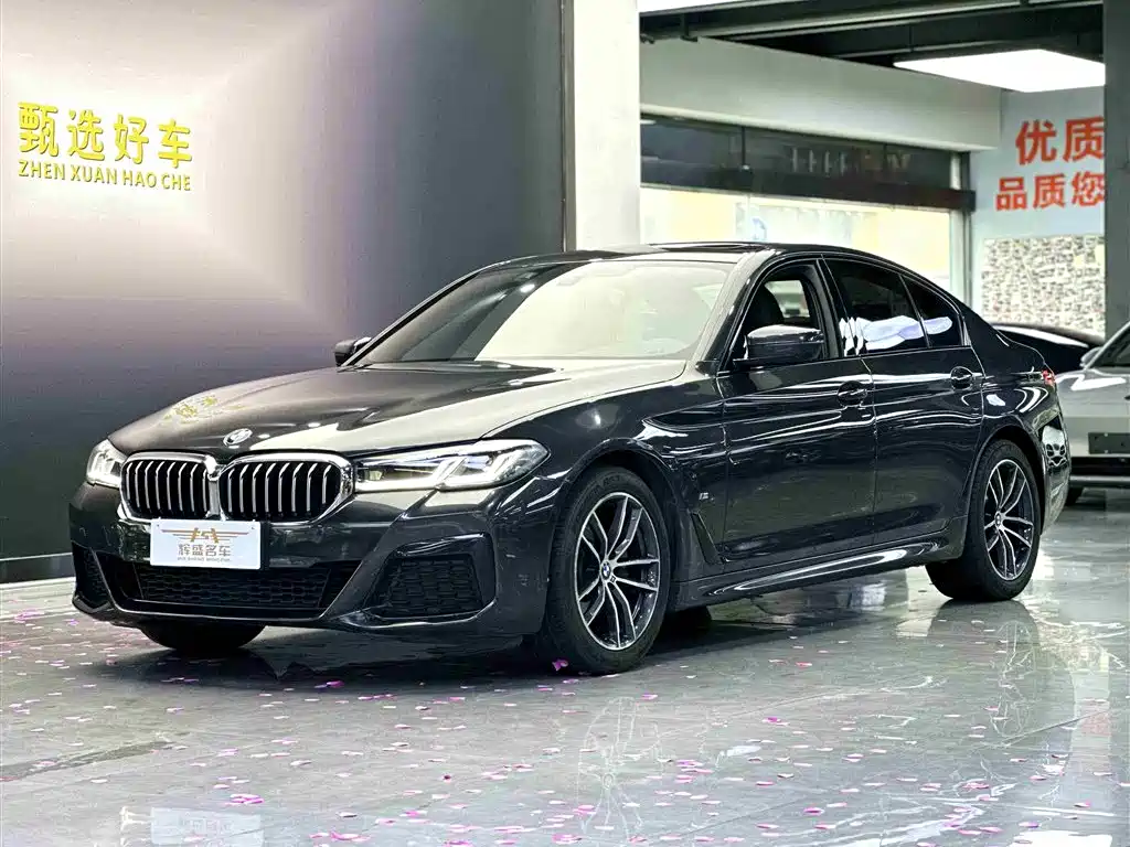 BMW 5 Series (Import) 2021 525i M Sport Package
