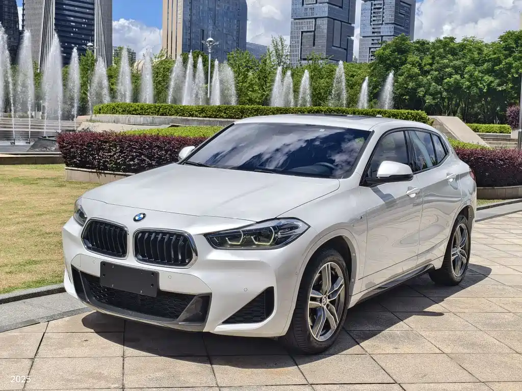 BMW X2 2020 sDrive25i Lead M Sport Package