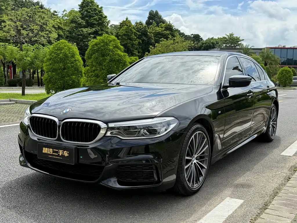 BMW 5 Series 2020 530Li Leader M Sport Package