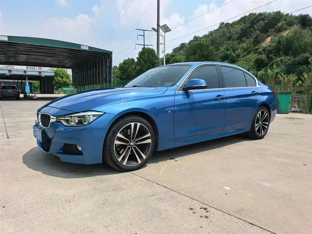 BMW 3 Series 2019 320Li M Luxury Set