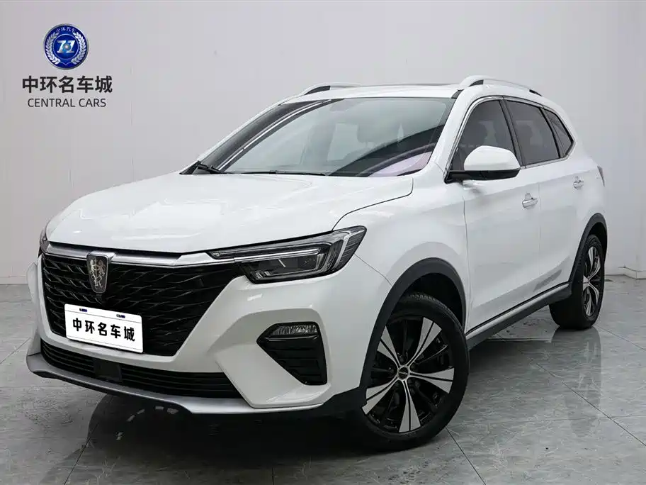 RX5 2020 PLUS 300TGI Auto Ali National Wave Luxury Edition