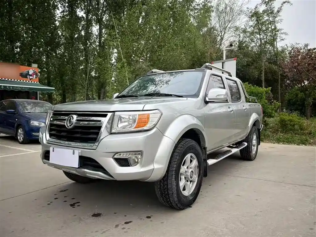 Ruiqi 2019 2.4L gasoline Country VI two-wheel drive luxury standard box 2TZD
